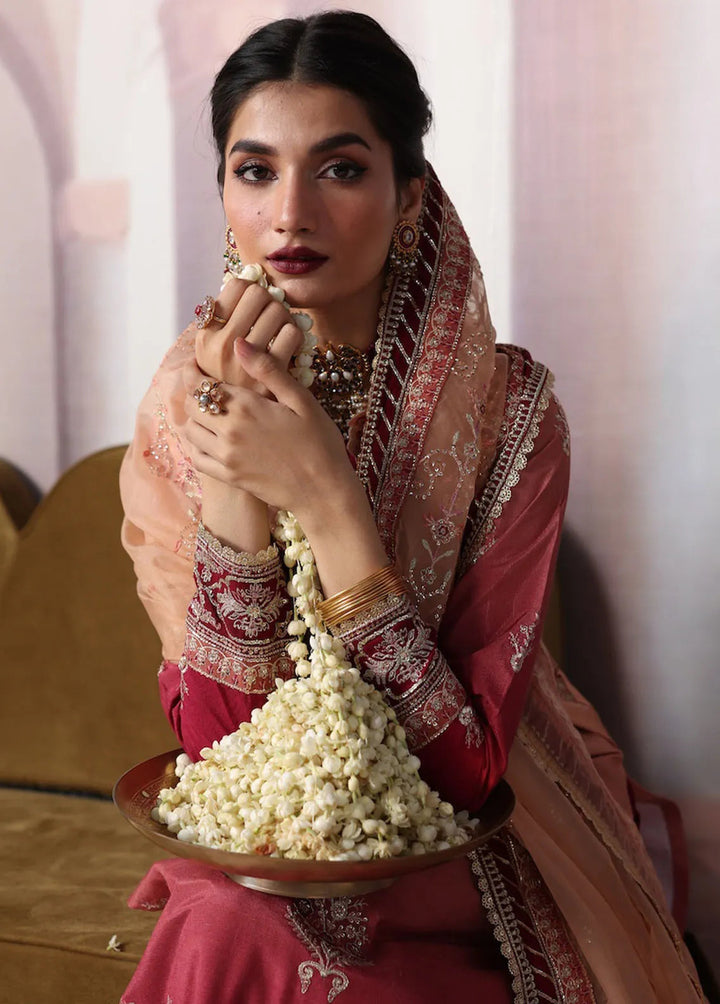 Sahane Embroidered Raw Silk Suits Unstitched 3 Piece SNE24TG TSG-08 Ember - Festive Collection