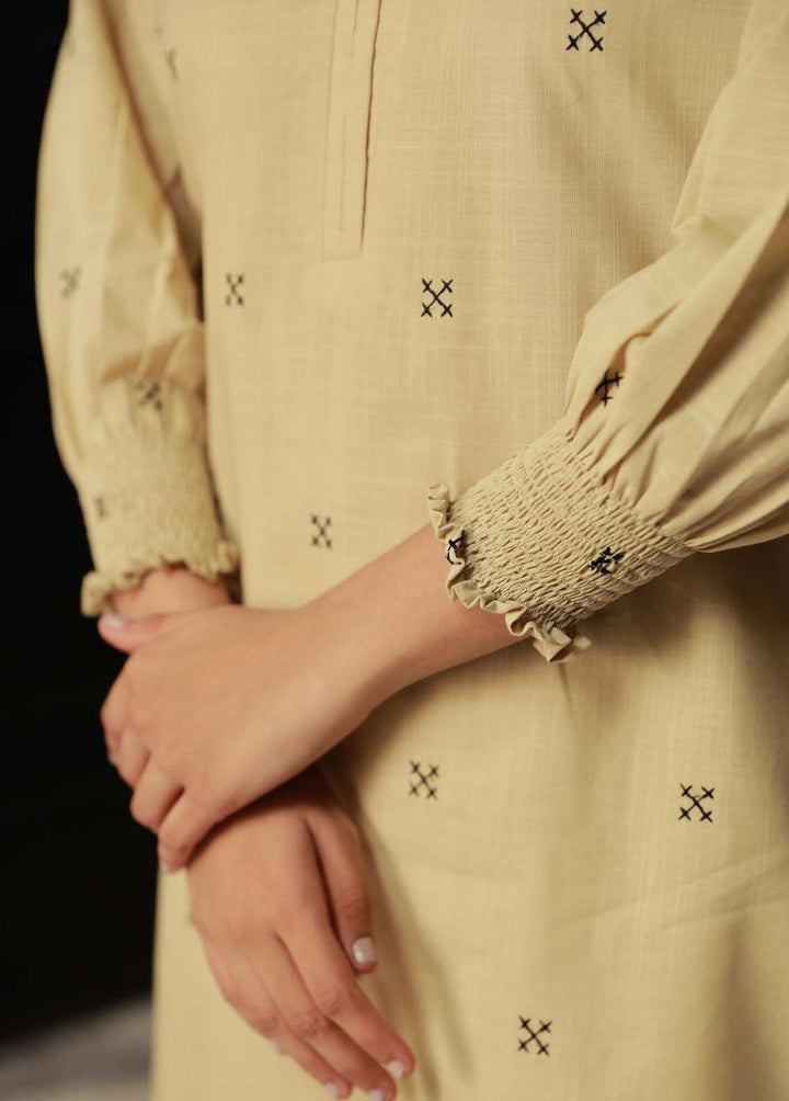 Sahar Pret Embroidered  2 Piece Suit AWHB23-4 Dune