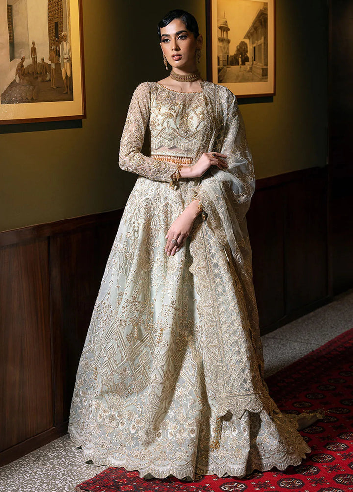 Saira Rizwan Embroidered Net Suits Unstitched 4 Piece SRF-D-02 Lucent - Festive Collection