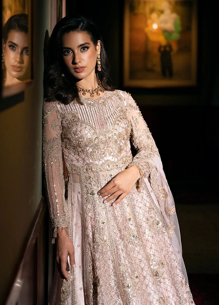 Saira Rizwan Embroidered Net Suits Unstitched 4 Piece SRF-D-03 Rigel - Festive Collection