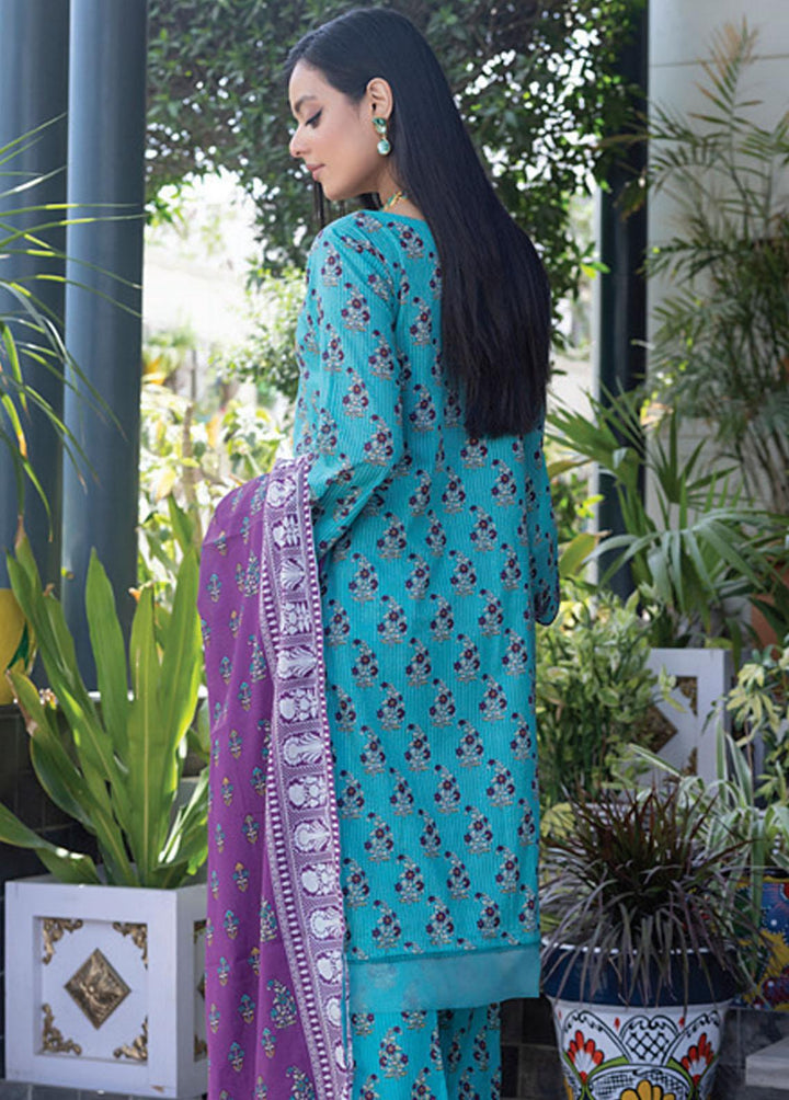 Salina By Regalia Textiles Embroidered Chikankari Lawn Suits Unstitched 3 Piece RGT23-SL2 D-02 - Summer Collection