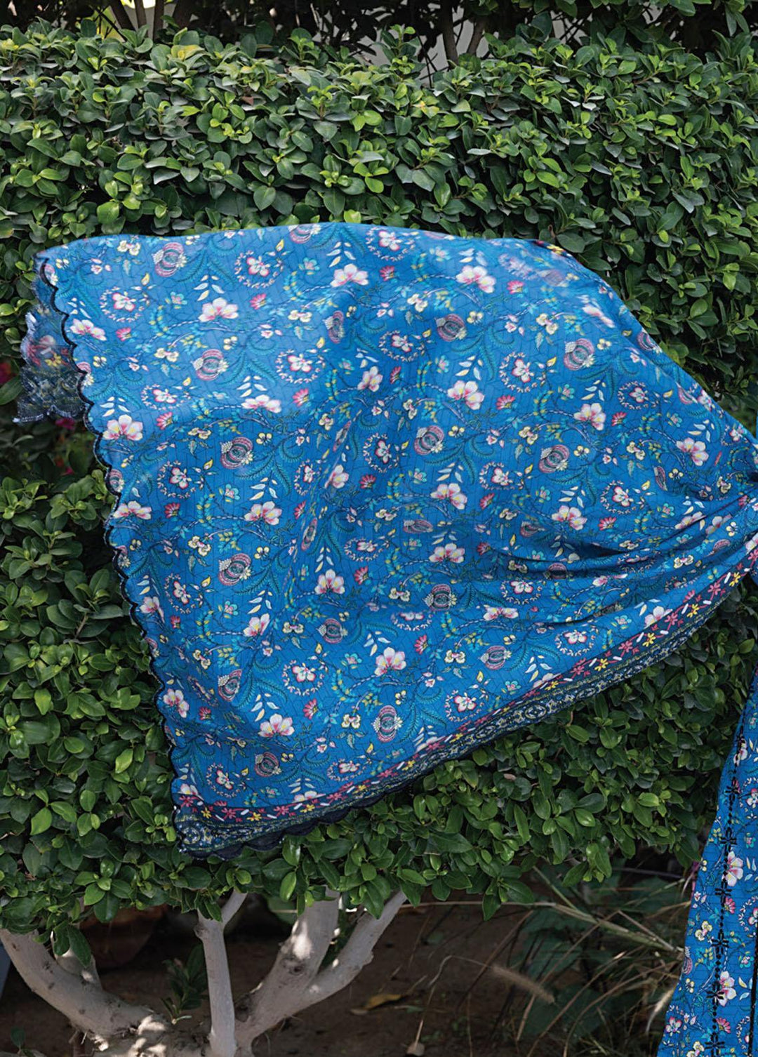 Salina By Regalia Textiles Embroidered Chikankari Lawn Suits Unstitched 3 Piece RGT23-SL2 D-10 - Summer Collection