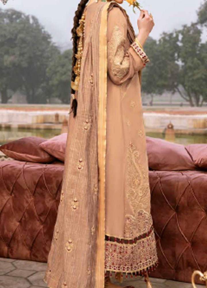 Dastak By Salitex Embroidered Khaadi Net Suits Unstitched 3 Piece ST22D HC-29 - Luxury Collection