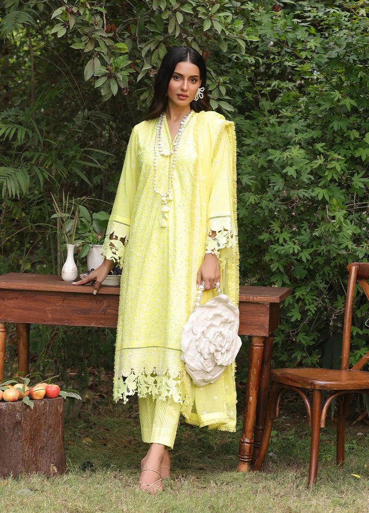 Salitex Embroidered Cambric Suits Unstitched 3 Piece UNS24CK018UT - Summer Collection