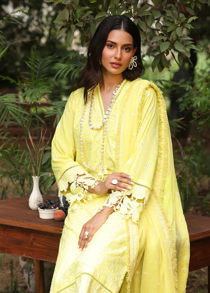 Salitex Embroidered Cambric Suits Unstitched 3 Piece UNS24CK018UT - Summer Collection