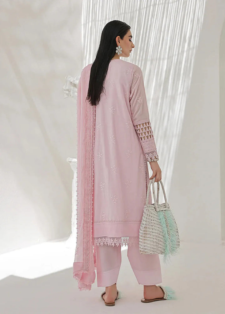 Salitex Embroidered Lawn Suits Unstitched 3 Piece UNS24CK003UT - Festive Collection