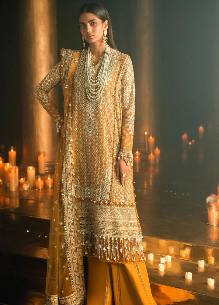 Sana Safinaz Embroidered Net Suits Unstitched 3 Piece SS24UL 2B - Luxury Collection