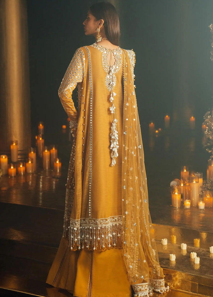 Sana Safinaz Embroidered Net Suits Unstitched 3 Piece SS24UL 2B - Luxury Collection