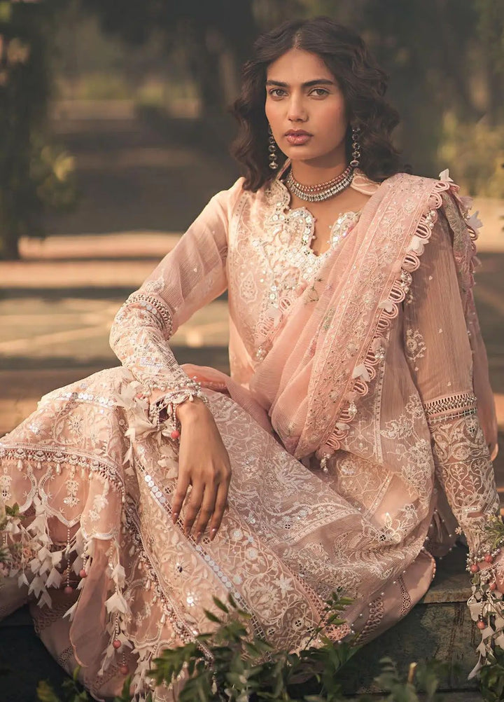 Sana Safinaz Embroidered Net Suits Unstitched 3 Piece SS24UL 6A - Luxury Collection