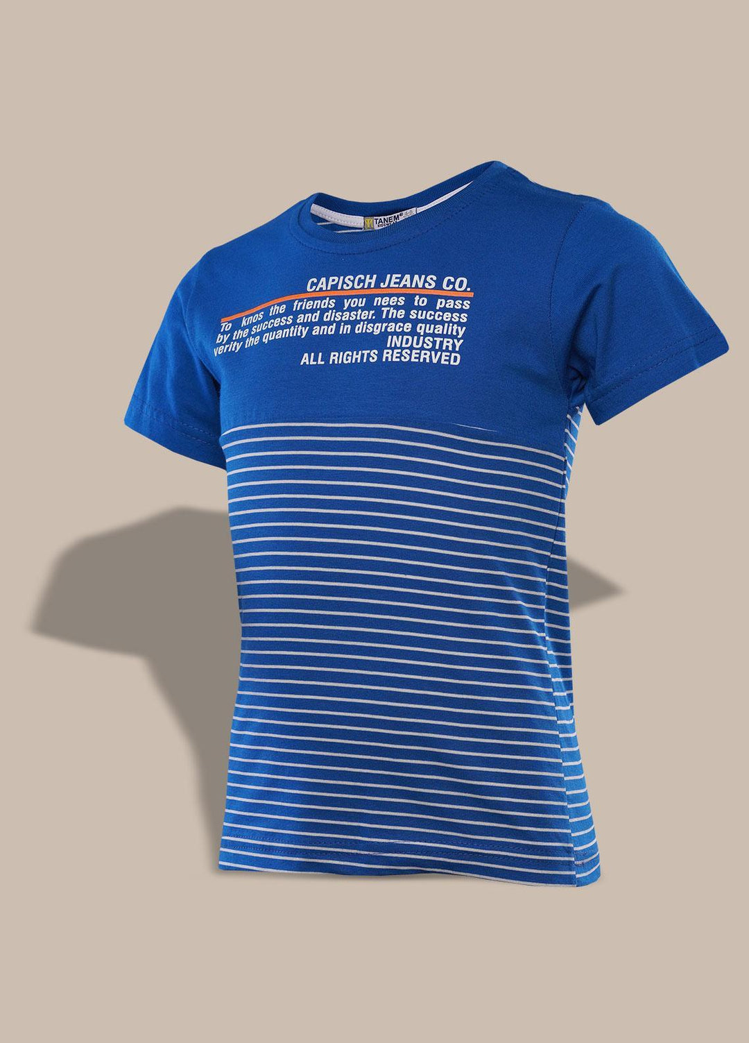 Sanaulla Exclusive Range   T-Shirts for Boys -  351969 Light Blue