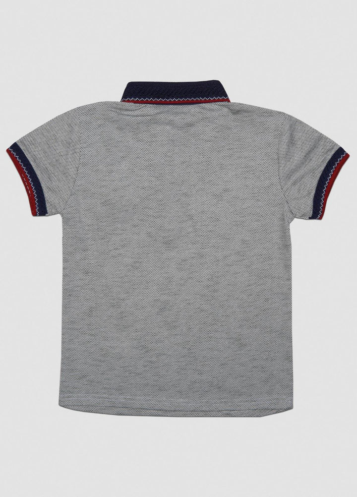 Sanaulla Exclusive Range  Casual T-Shirts for Boys -  1017746 Pista