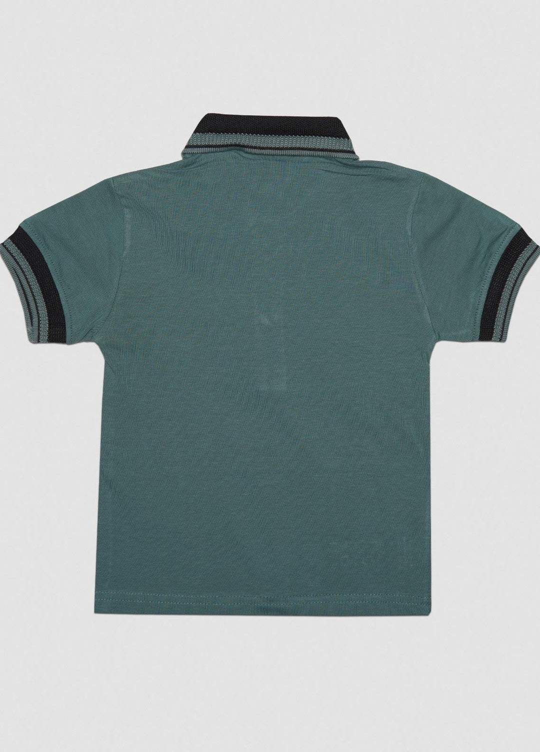 Sanaulla Exclusive Range  Casual T-Shirts for Boys -  1111225147 Green