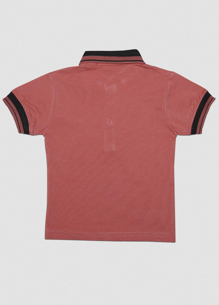 Sanaulla Exclusive Range  Casual T-Shirts for Boys -  1111225147 Pink