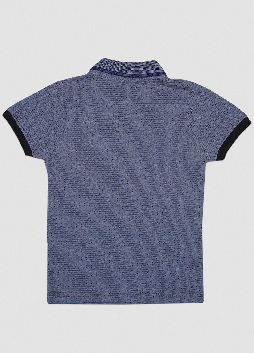 Sanaulla Exclusive Range  Casual T-Shirts for Boys -  1111228369 Blue