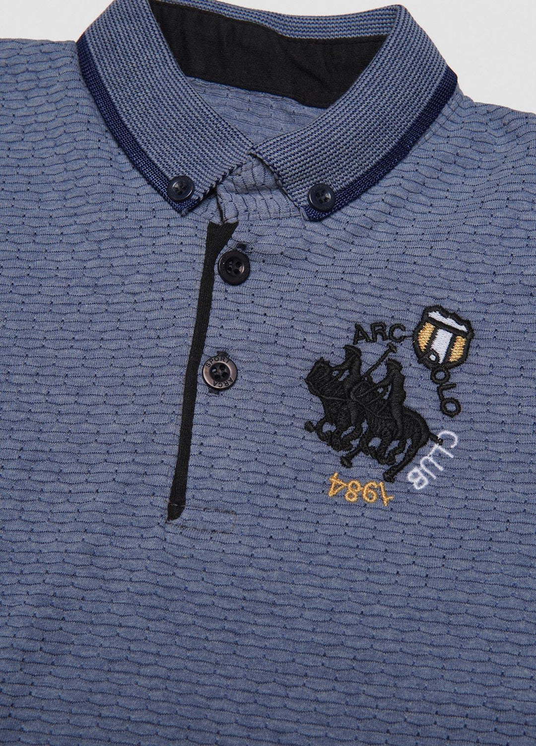 Sanaulla Exclusive Range  Casual T-Shirts for Boys -  1111228369 Blue