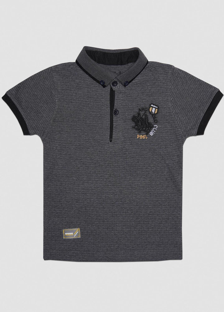 Sanaulla Exclusive Range  Casual T-Shirts for Boys -  1111228369 Grey