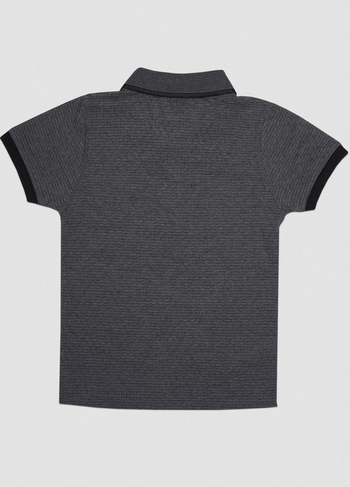 Sanaulla Exclusive Range  Casual T-Shirts for Boys -  1111228369 Grey
