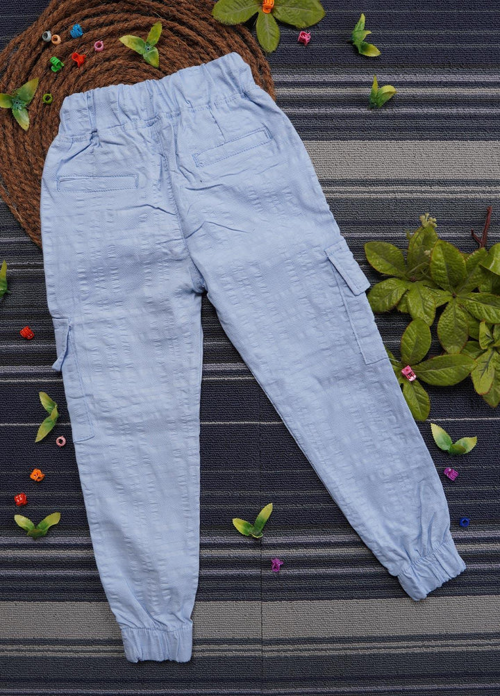Sanaulla Exclusive Range Cotton Casual Trouser for Girls -   0103 Sky Blue