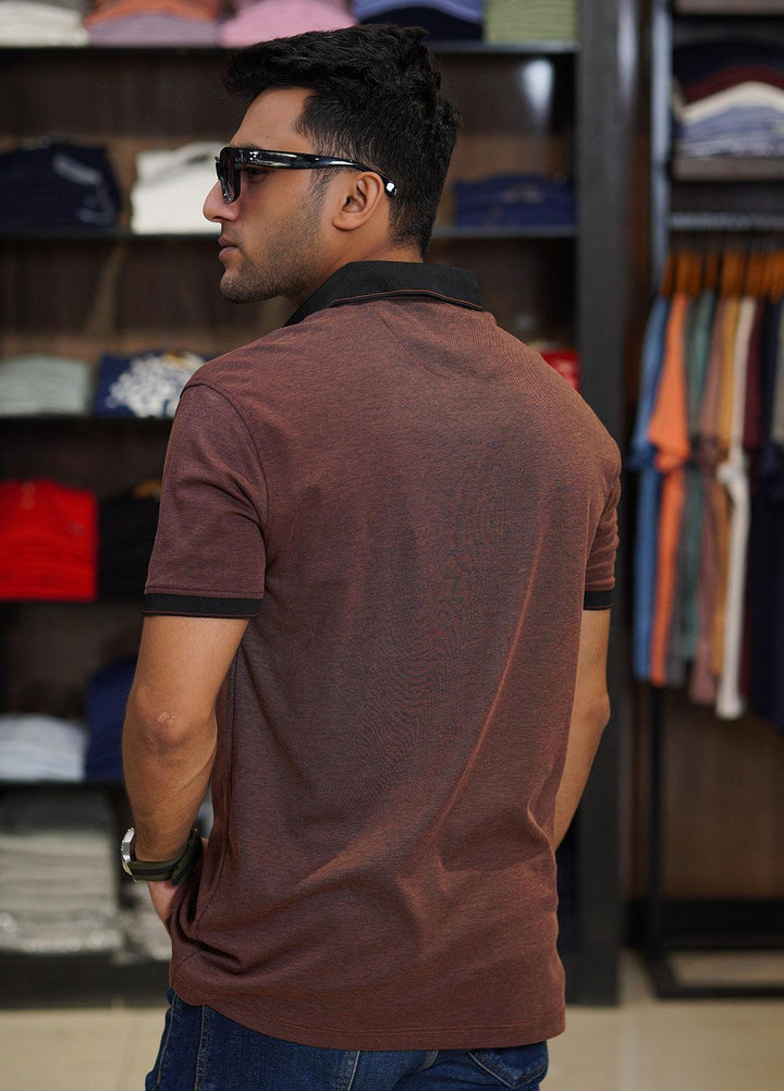 Sanaulla Exclusive Range Cotton Polo for Men - D-6371 Dark Brown