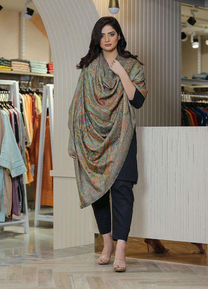 Sanaulla Exclusive Range  Pashmina  Mama D-14 Multi 06 - Women Shawls