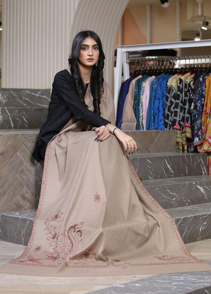 Sanaulla Exclusive Range  Pashmina  KPS 781 D-40 Brown 3 - Women Shawls