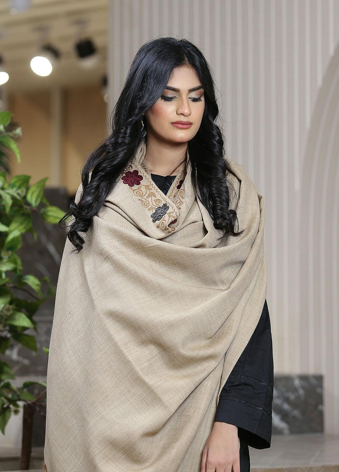 Sanaulla Exclusive Range  Pashmina  KPS 781 D-55 L Brown - Women Shawls