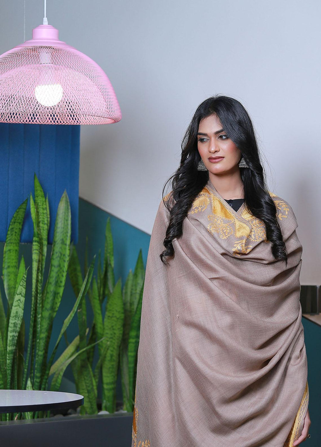 Sanaulla Exclusive Range  Pashmina  Mama D-40 Brown - Women Shawls