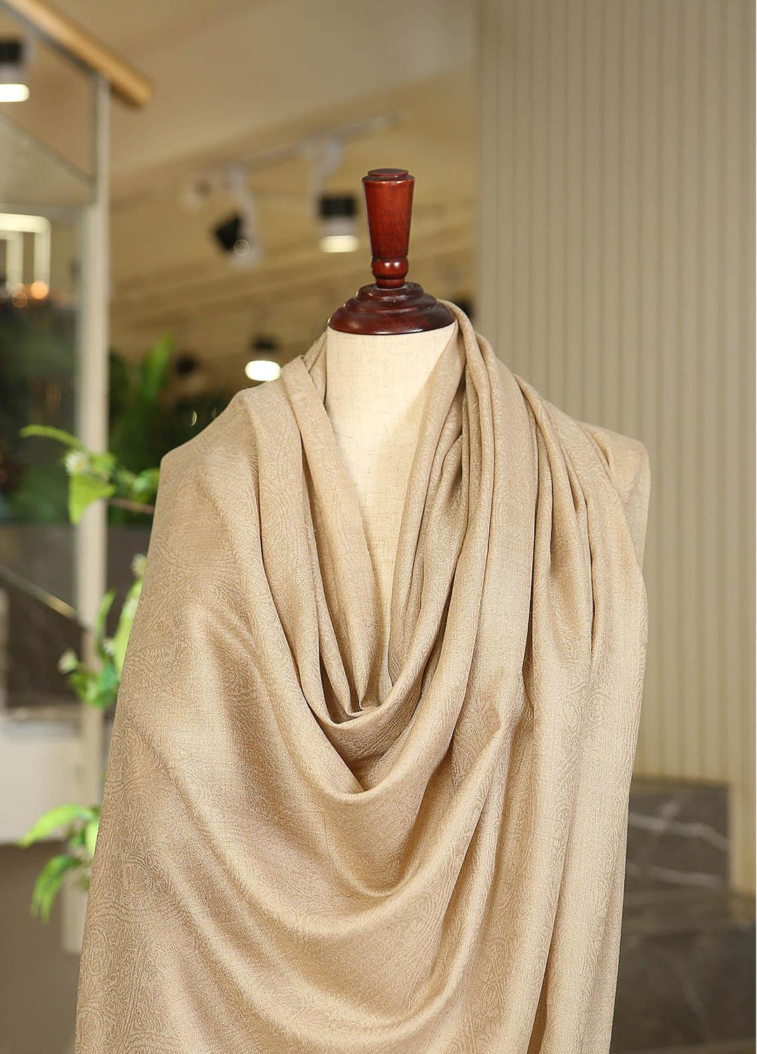 Sanaulla Exclusive Range  Pashmina  KPS 781 D-04 L Brown 1 - Women Shawls