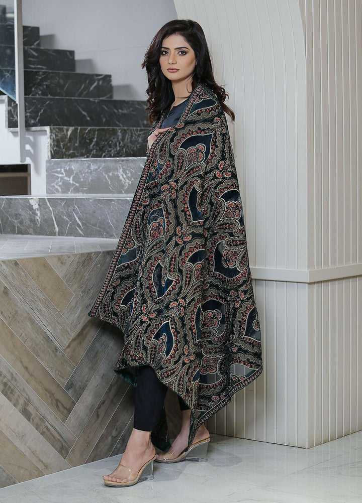 Sanaulla Exclusive Range  Pashmina  KPS 781 D-47 Green - Women Shawls