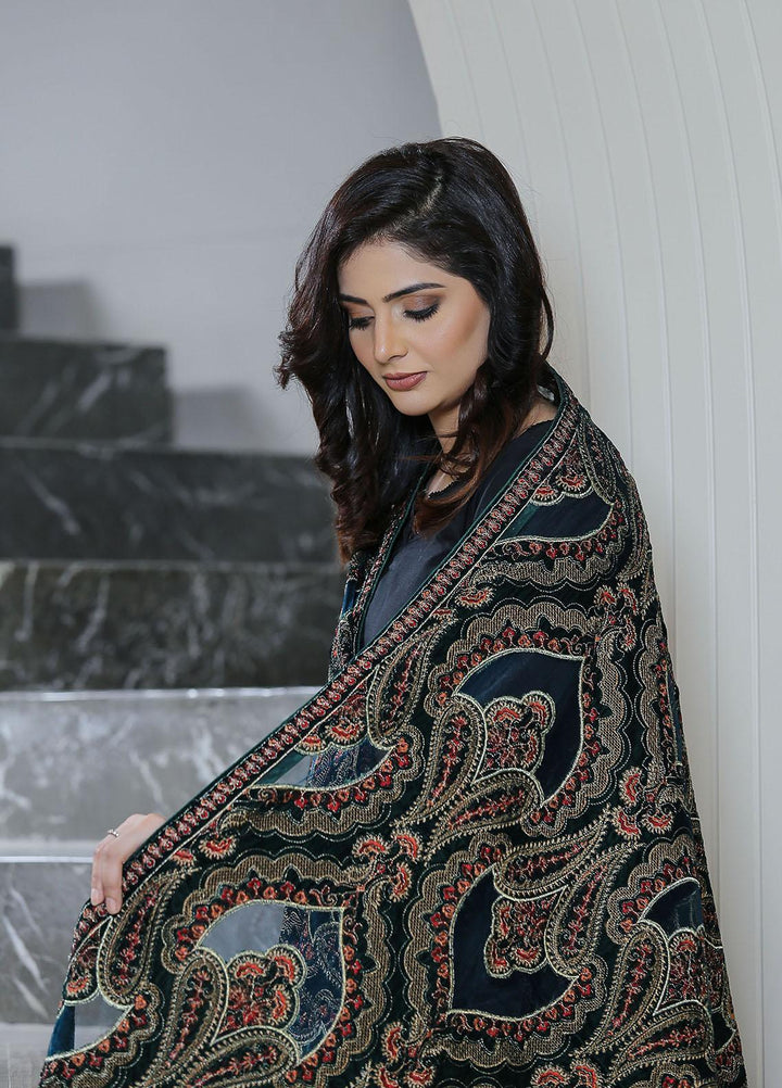 Sanaulla Exclusive Range  Pashmina  KPS 781 D-47 Green - Women Shawls