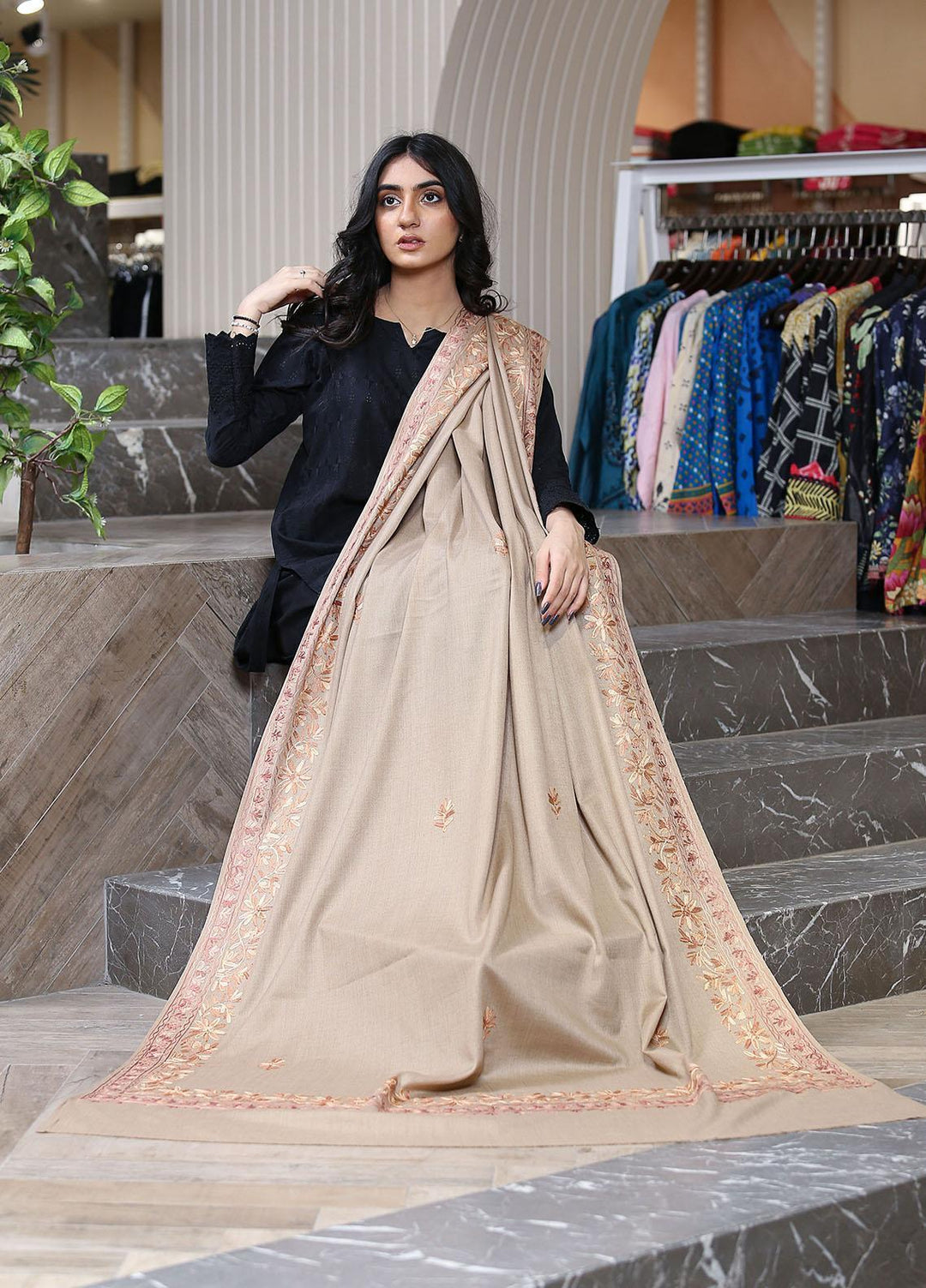 Sanaulla Exclusive Range  Pashmina  KPS 781 D-01 L Brown 1 - Women Shawls