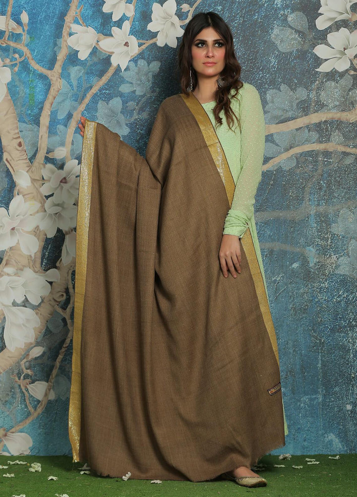 Sanaulla Exclusive Range  Pashmina  Shawl SU21PP MIR-767-Brown - Pure Pashmina Shawls