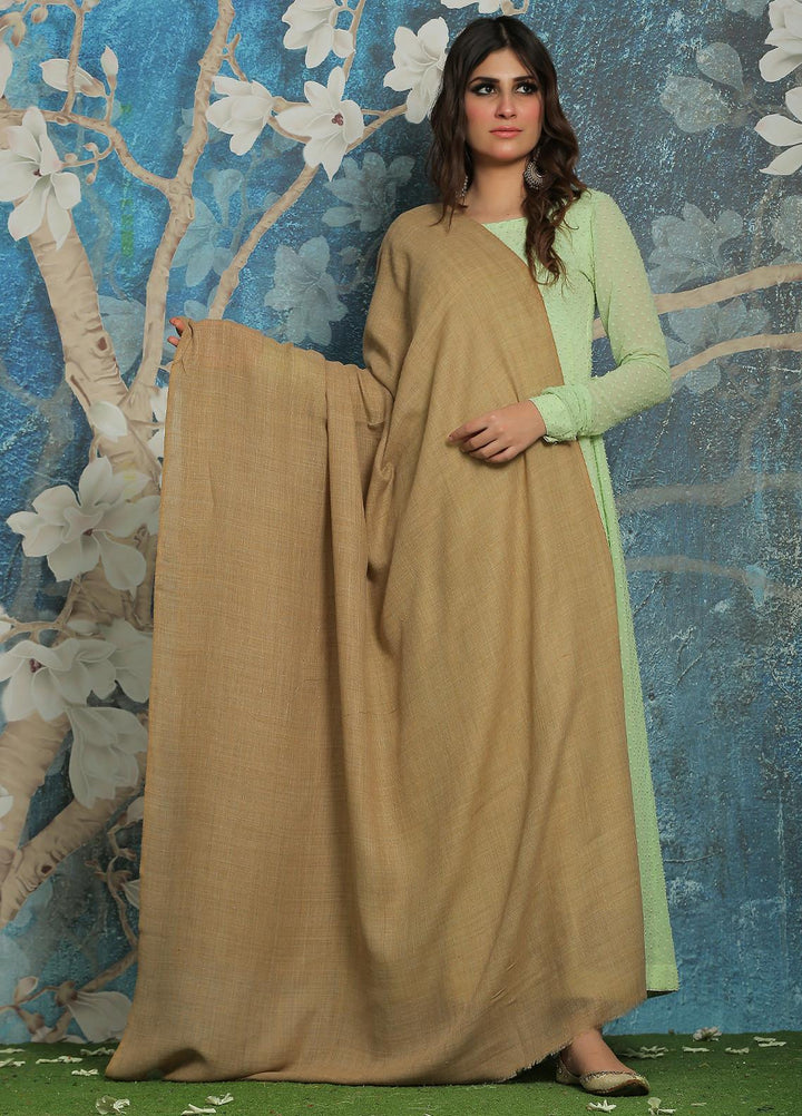 Sanaulla Exclusive Range  Pashmina  Shawl SU21PP MIR-14 Brown - Pure Pashmina Shawls