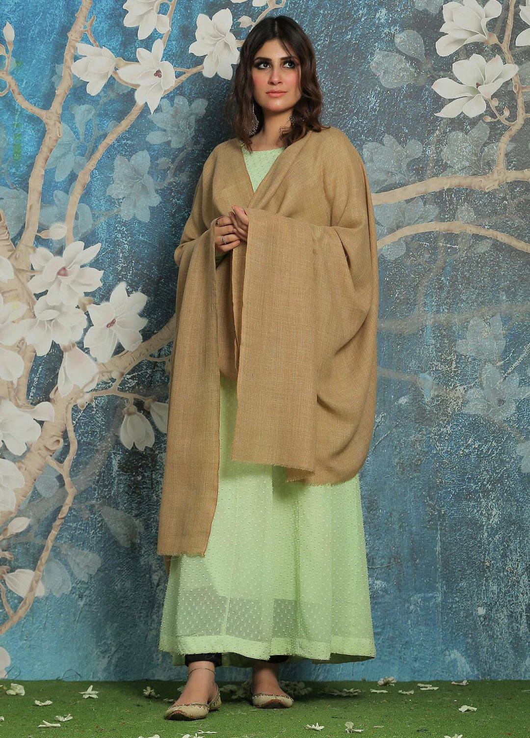Sanaulla Exclusive Range  Pashmina  Shawl SU21PP MIR-14 Brown - Pure Pashmina Shawls