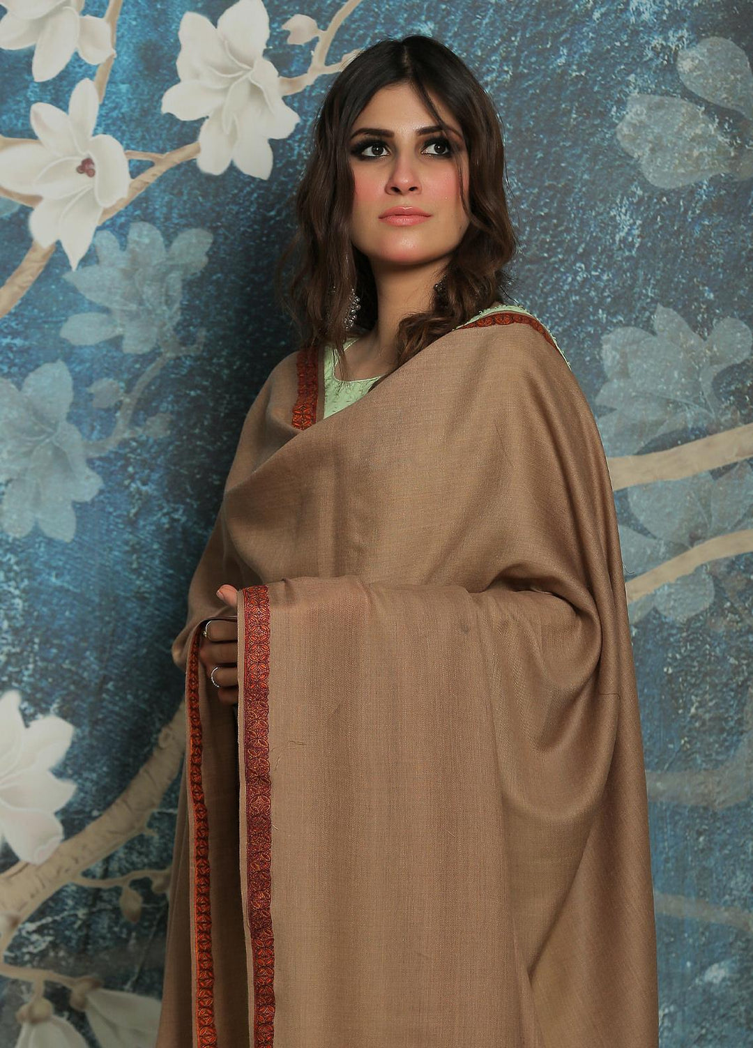 Sanaulla Exclusive Range  Pashmina  Shawl SU21PP AKP-04 Brown-1 - Pure Pashmina Shawls