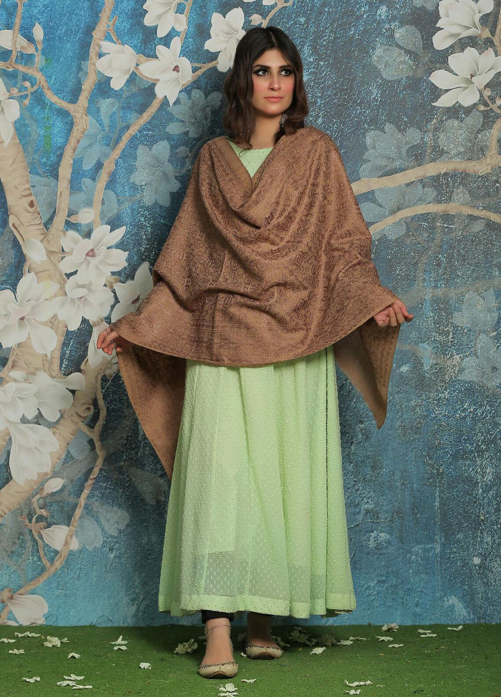 Sanaulla Exclusive Range  Pashmina  Shawl SU21PP AKP-23 L Brown-8 - Pure Pashmina Shawls