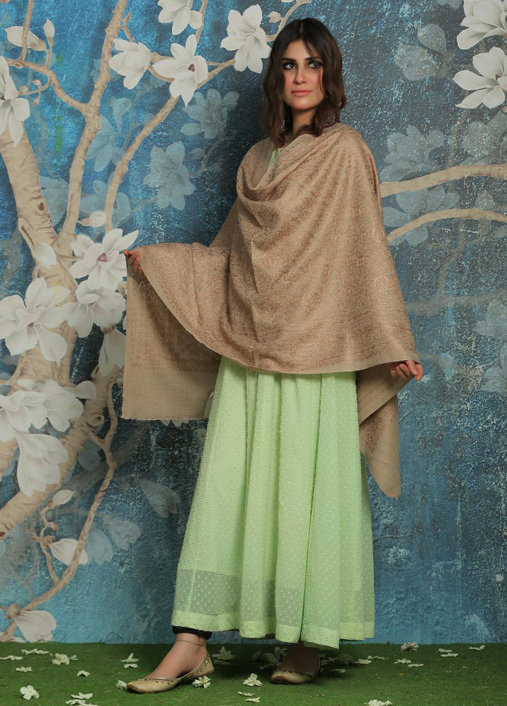 Sanaulla Exclusive Range  Pashmina  Shawl SU21PP AKP-23 L Brown-13 - Pure Pashmina Shawls