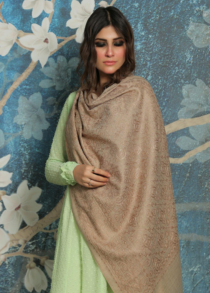 Sanaulla Exclusive Range  Pashmina  Shawl SU21PP AKP-23 L Brown-13 - Pure Pashmina Shawls