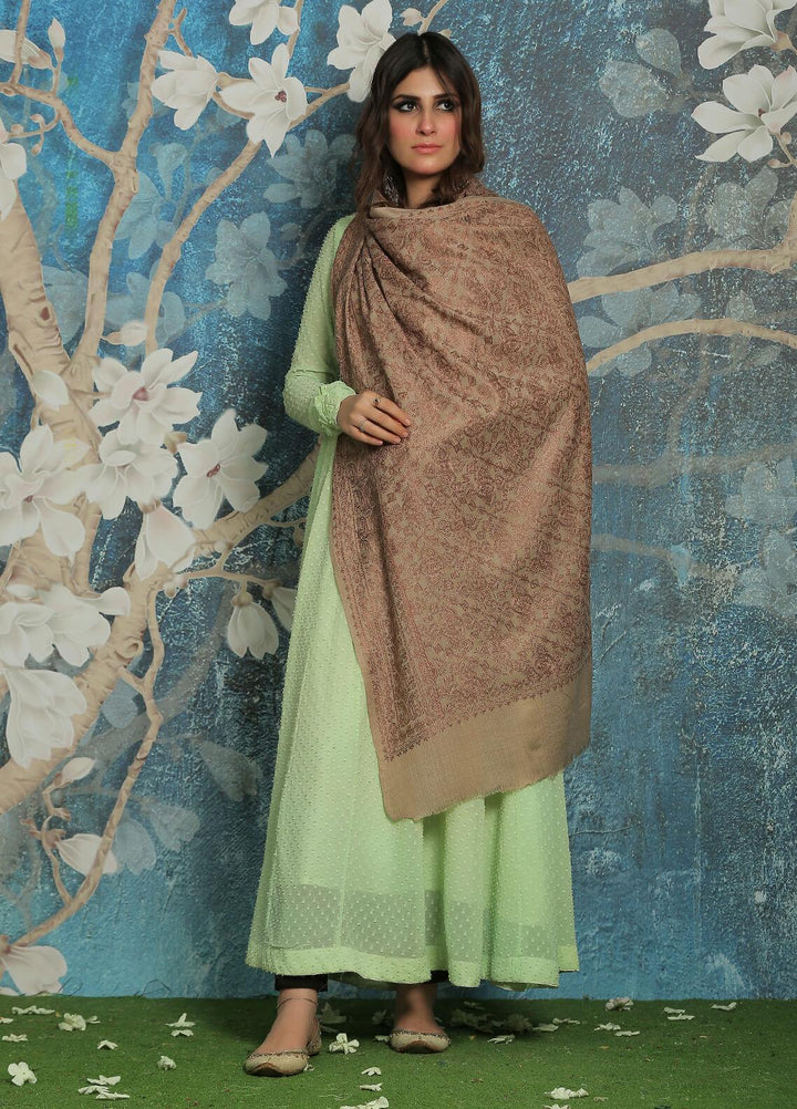 Sanaulla Exclusive Range  Pashmina  Shawl SU21PP AKP-23 L Brown-16 - Pure Pashmina Shawls