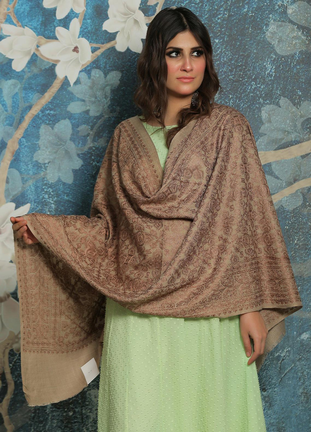 Sanaulla Exclusive Range  Pashmina  Shawl SU21PP AKP-23 L Brown-16 - Pure Pashmina Shawls