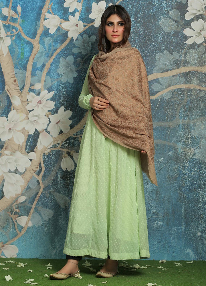 Sanaulla Exclusive Range  Pashmina  Shawl SU21PP AKP-23 L Brown-17 - Pure Pashmina Shawls