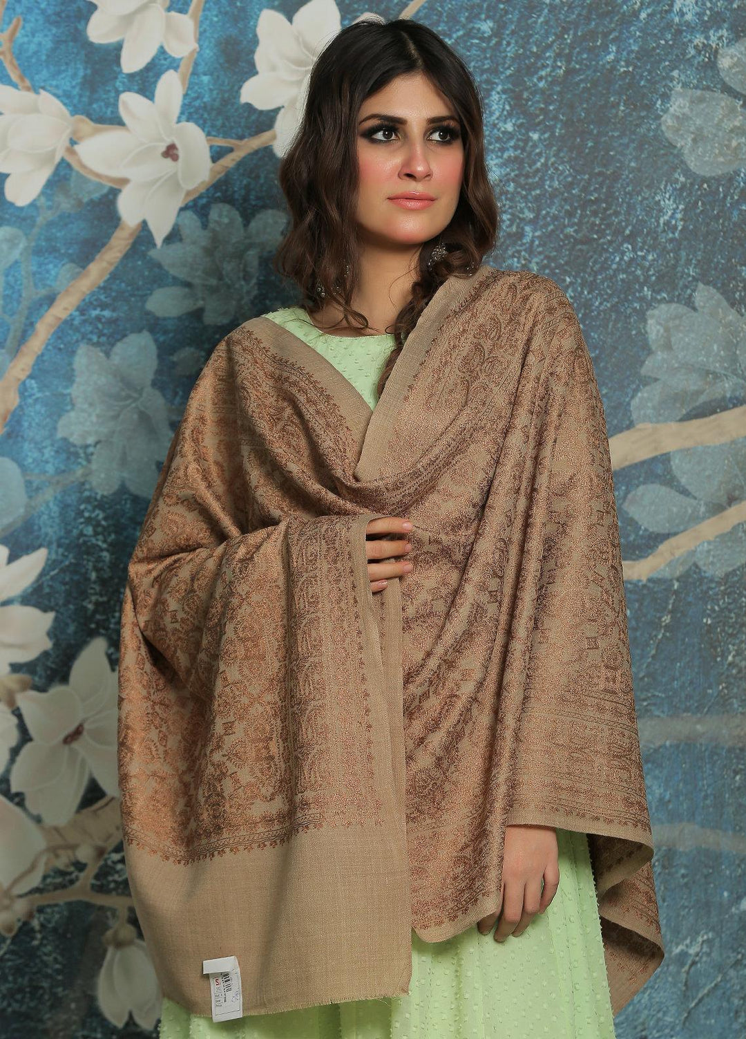 Sanaulla Exclusive Range  Pashmina  Shawl SU21PP AKP-23 L Brown-17 - Pure Pashmina Shawls