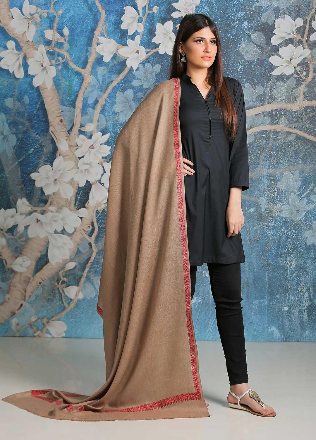 Sanaulla Exclusive Range  Pashmina  Shawl SU21PP AKP-04 Beige-1 - Pure Pashmina Shawls