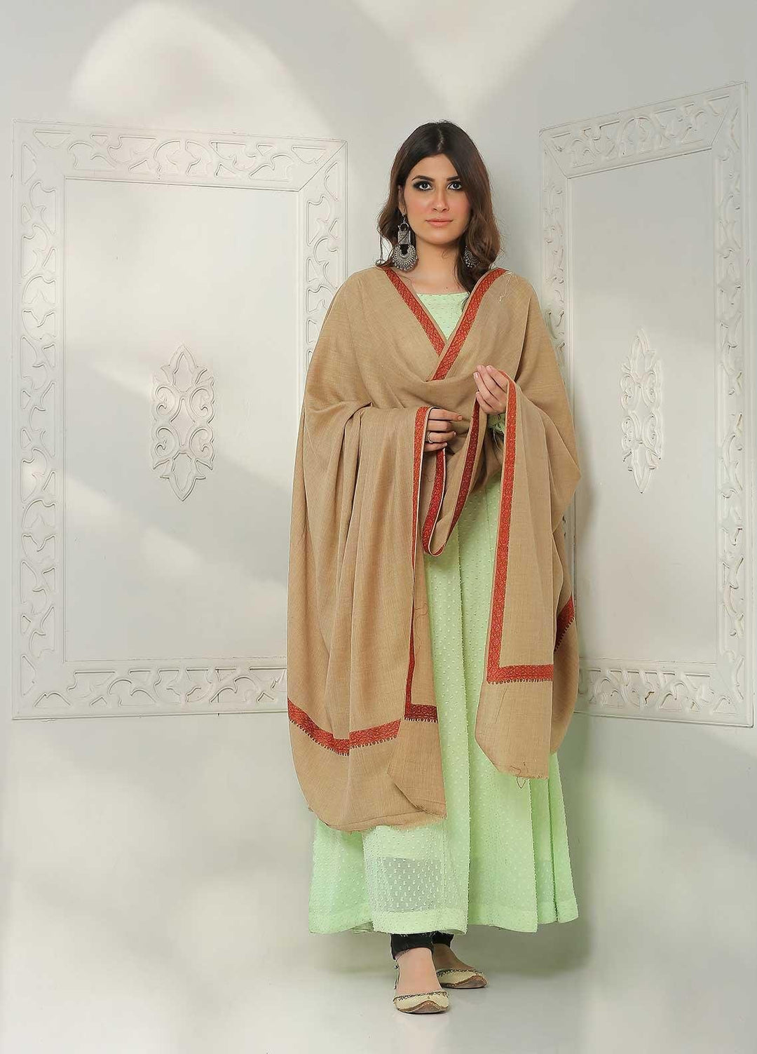 Sanaulla Exclusive Range Embroidered Pashmina  Shawl AKP-04 Fawn-2 - Pashmina Shawls