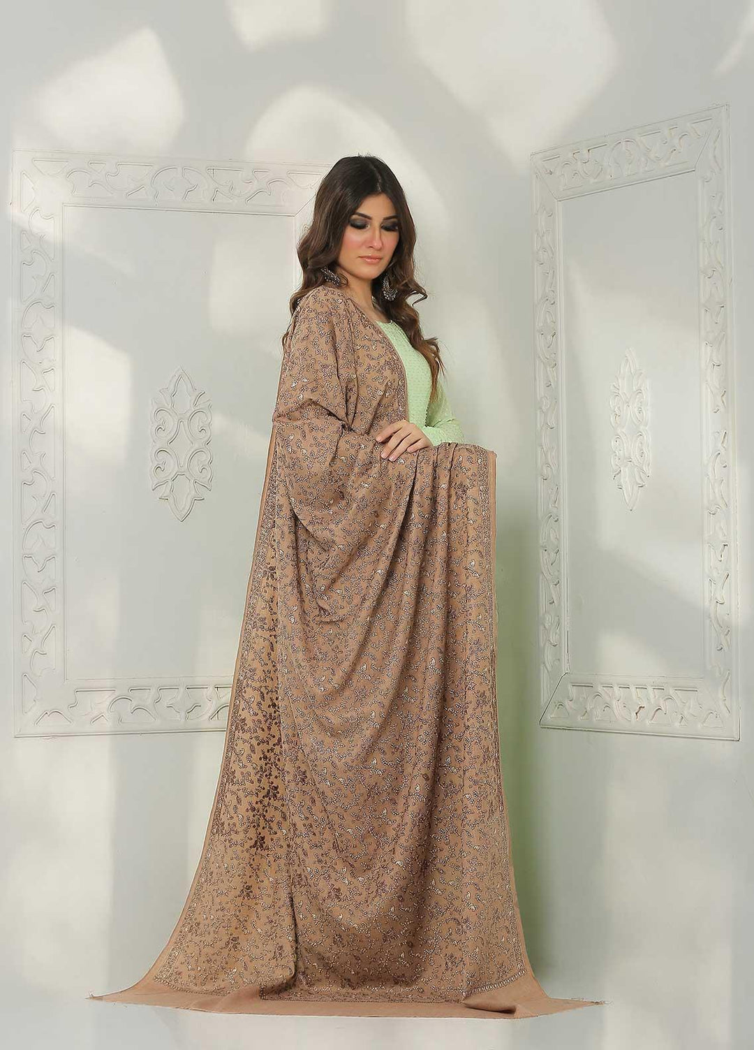 Sanaulla Exclusive Range Embroidered Pashmina  Shawl AKP-11 Fawn-8 - Pashmina Shawls