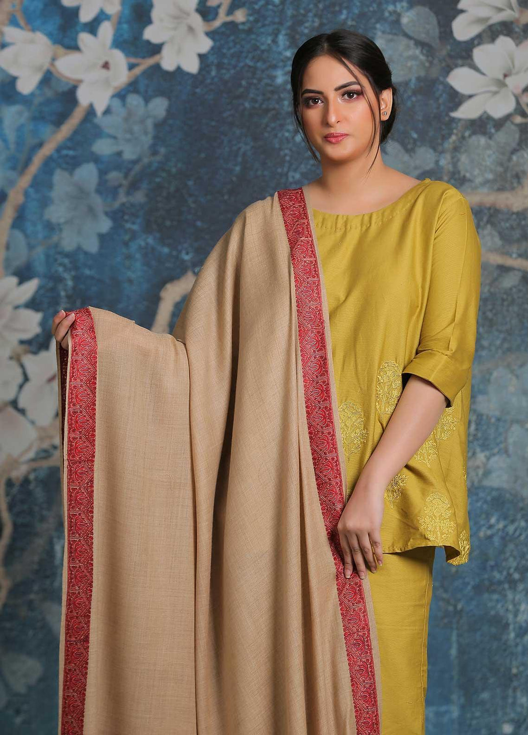 Sanaulla Exclusive Range Embroidered Pashmina  Shawl AKP-16 Fawn-4 - Pashmina Shawls