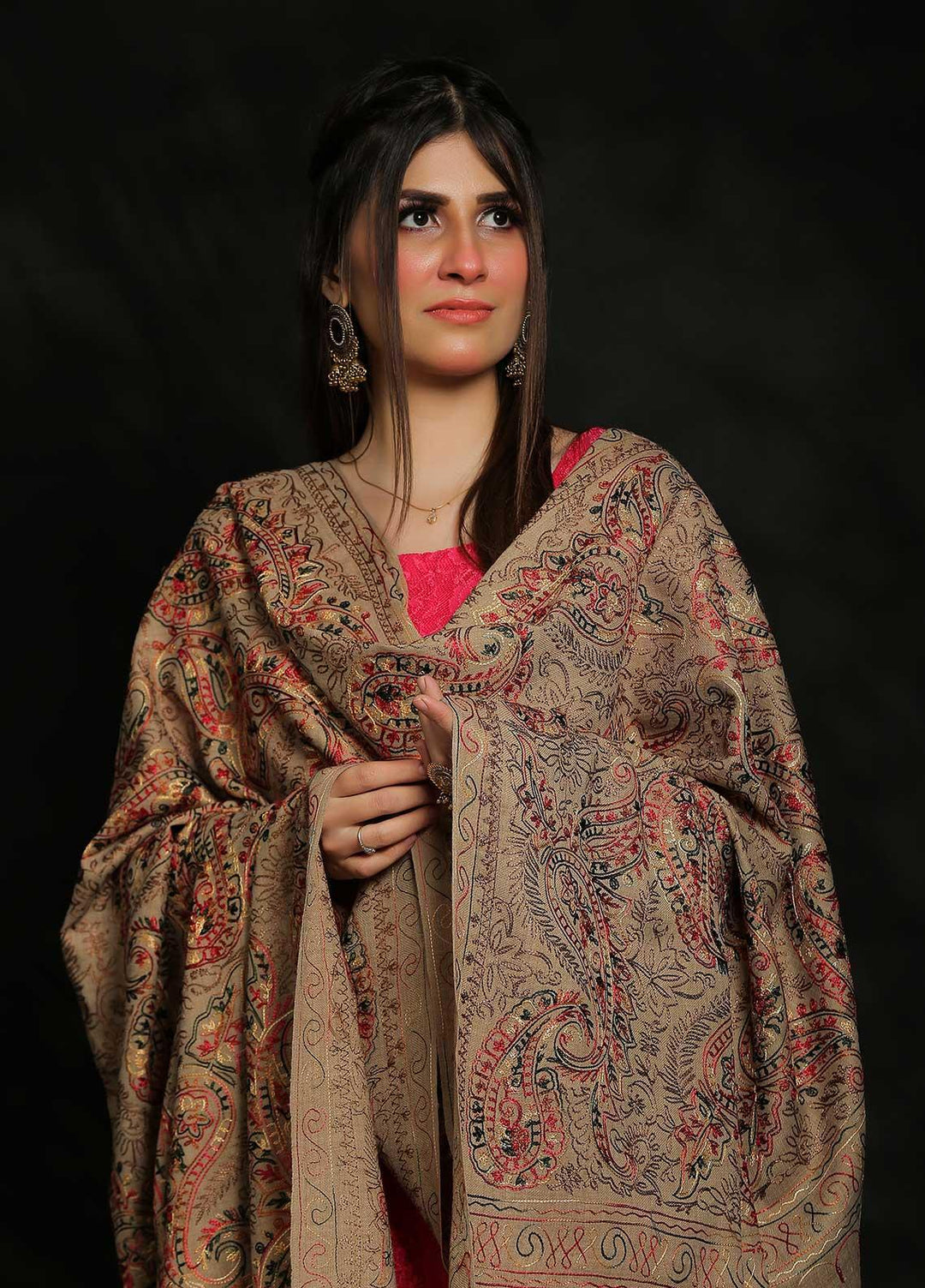 Sanaulla Exclusive Range Embroidered Pashmina  Shawl AKP-27 Fawn-7 - Pashmina Shawls