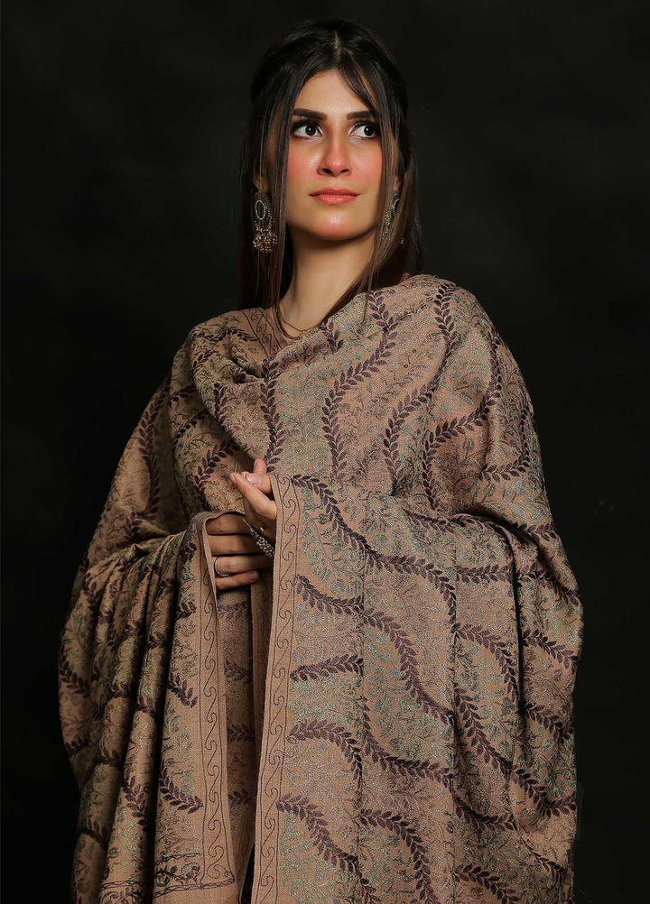 Sanaulla Exclusive Range Embroidered Pashmina  Shawl AKP-31 Brown - Pashmina Shawls