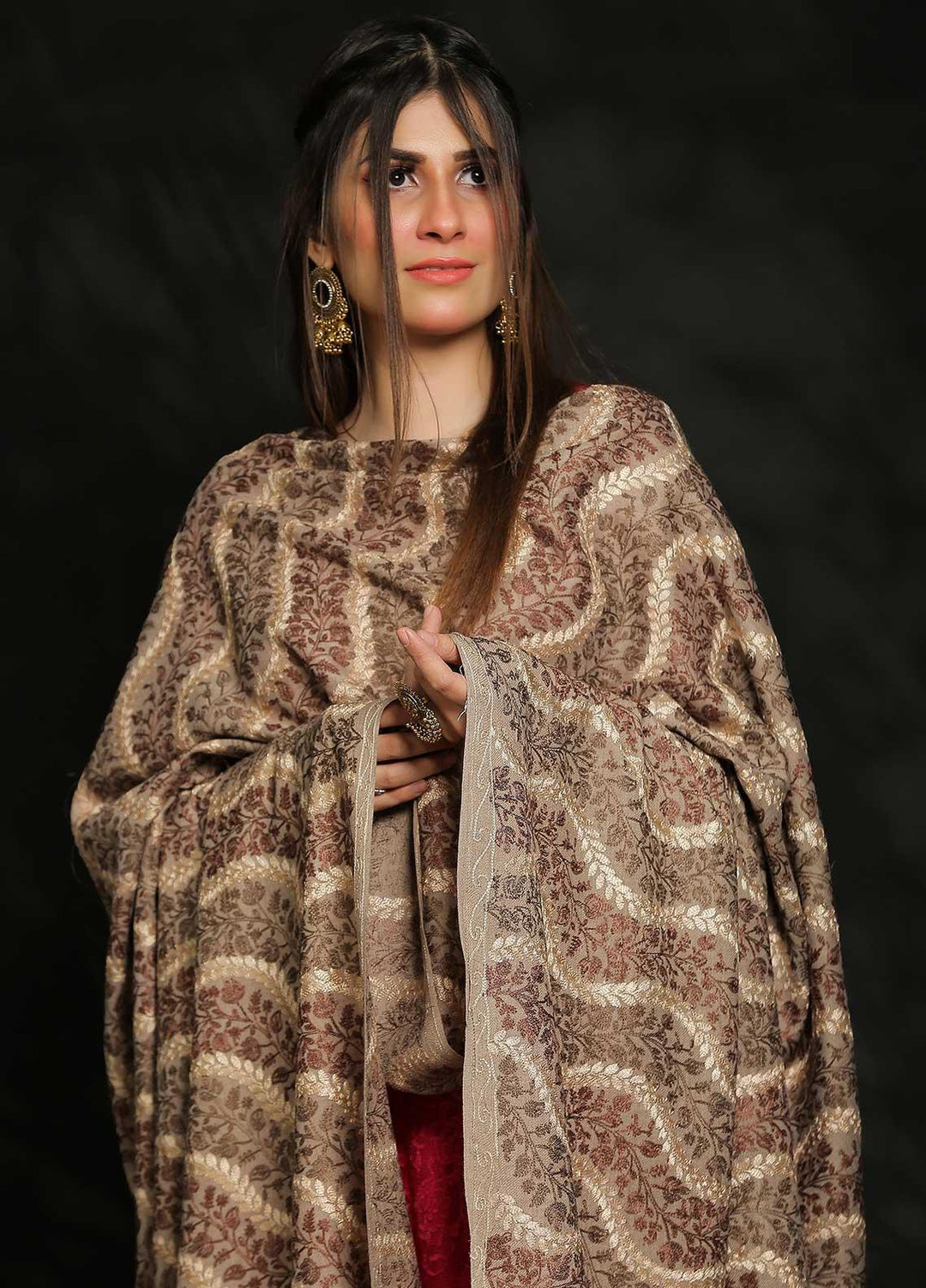 Sanaulla Exclusive Range Embroidered Pashmina  Shawl AKP-31 Fawn-2 - Pashmina Shawls