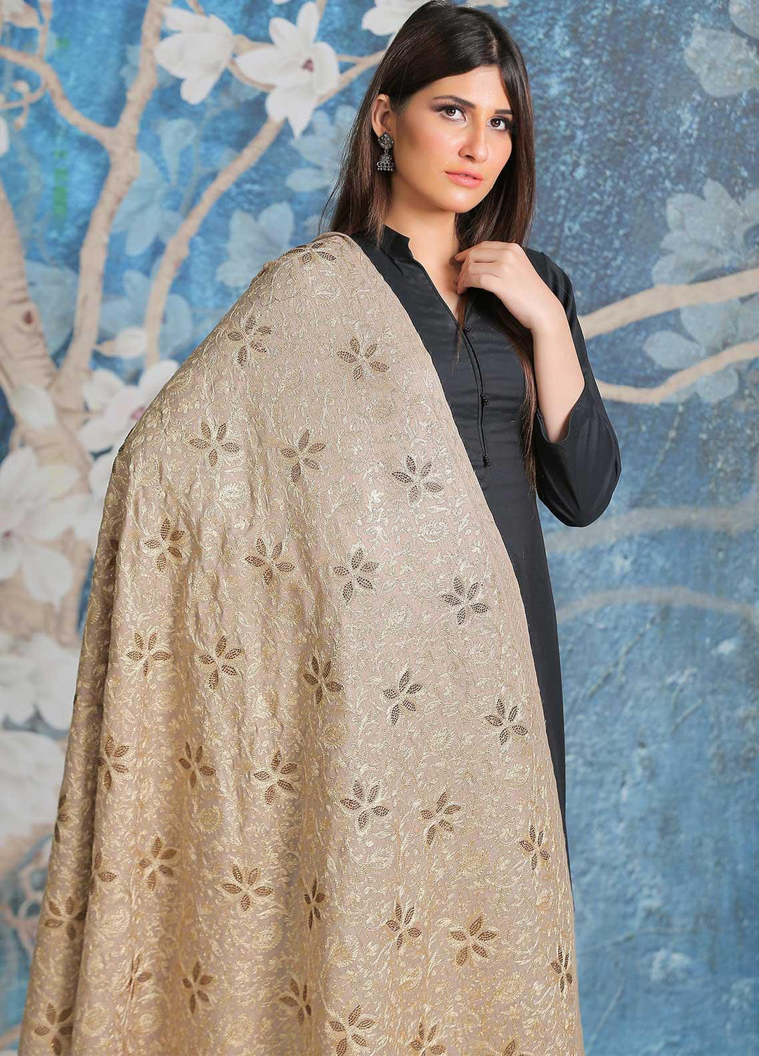 Sanaulla Exclusive Range Embroidered Pashmina  Shawl SU21PP AKP-33 Fawn - Pure Pashmina Shawls